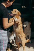 /album/20/whatsapp-image-2026-01-14-at-22-28-38-jpeg/